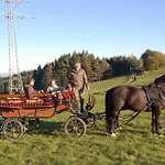 Westfalenhof * Willingen (Upland)