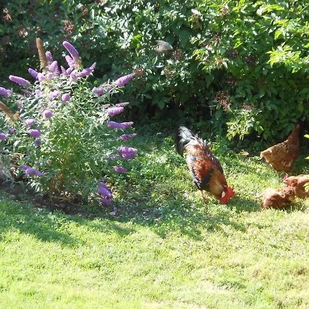 Westfalenhof Appartement *