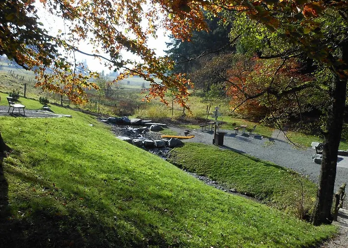 Westfalenhof Appartement Willingen (Upland)