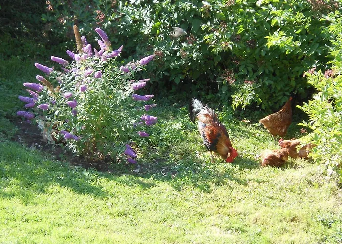 Westfalenhof Apartment *